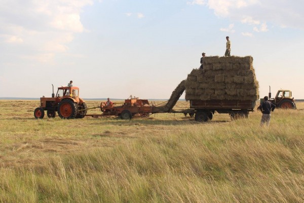 400 МЯНГАН ТН ӨВС, ТЭЖЭЭЛ АВАХ ХӨРӨНГИЙГ ШИЙДНЭ